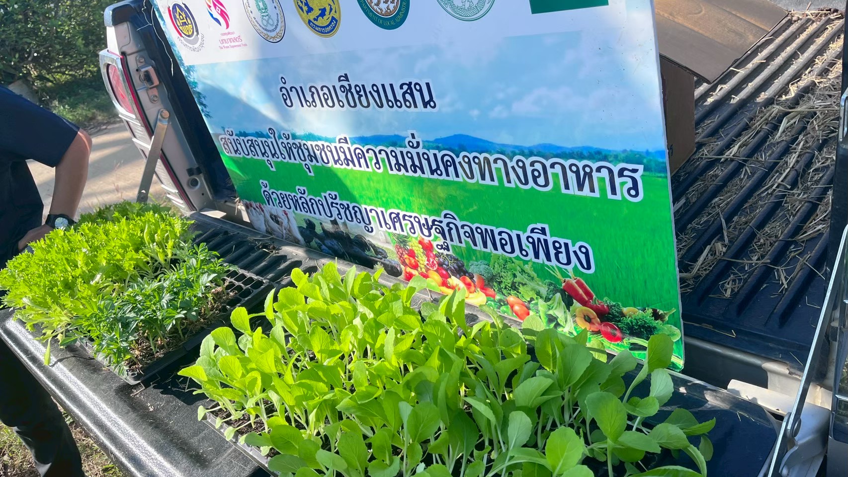 ปฏิบัติการ “Quick Win” 90 วัน ปลูกผักสวนครัว เพื่อสร้างความมั่นคงทางอาหาร สู้ภัยวิกฤตด้วยวิถีชีวิตพอเพียง